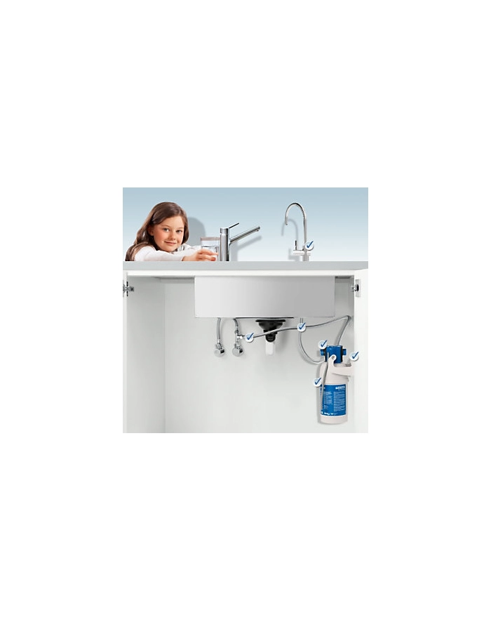 brita Wkład wymienny podzlewowy P1000 główny