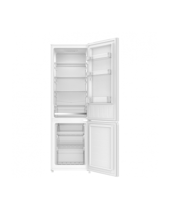 indesit Chłodziarko-zamrażarka INKS 8261 W4E nr 2