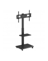 ergo office Stand dla TV, ER-304B - nr 13
