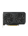 asus Karta graficzna GeForce RTX 5050 DUAL 8GB OC GDDR6 128BIT 3DP/HDMI - nr 8