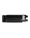 palit Karta graficzna GeForce RTX 5050 DUAL 8GB GDDR6 128bit 3DP/HDMI - nr 8