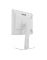 iiyama Monitor 19 '' B1980S-W1 HDMI,DP.PIVIOT,HAS/150mm - nr 24