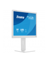 iiyama Monitor 19 '' B1980S-W1 HDMI,DP.PIVIOT,HAS/150mm - nr 35