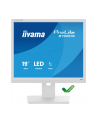 iiyama Monitor 19 '' B1980S-W1 HDMI,DP.PIVIOT,HAS/150mm - nr 50