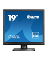 iiyama Monitor 19 '' E1980S-B1 HDMI DP 250cd 3ms - nr 24