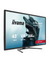 iiyama Monitor G-Master 42.5 cala G4380UHSU-B2 4K,VA,2xHDMI,2xDP,0,3ms,144Hz,550cd,    4000:1, USB HUBx4, 2x7W, - nr 36