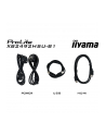 iiyama Monitor 24 '' XB2492HSU-B1 IPS,FHD,HDMI,DP,120Hz,300cd,4ms,        cienkie ramki, 1500:1, ErP B, USB HUBx2 - nr 73