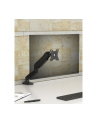 icybox Uchwyt dla monitora IB-MS203-T do 32 '' 2-9KG - nr 6