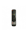 allview Telewizor LED 24 cale 24IPLAY6300-H - nr 6
