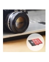 patriot Karta microSDXC 256GB Express 800/600MB/s Nintendo Switch 2 - nr 14