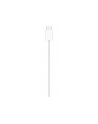 apple Ładowarka MagSafe (2 m) - nr 16