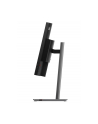 lenovo Monitor ThinkVision P34WD-40 34 cale 64ADZAT1EU - nr 2