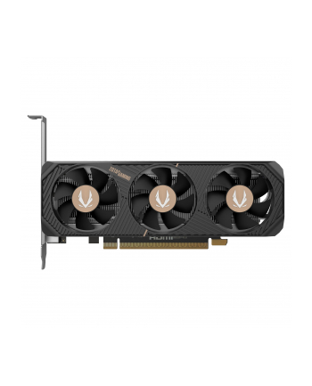 zotac Karta graficzna GeForce RTX 5050 LP 8GB GDDR6 128bit 2DP/HDMI