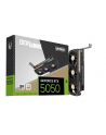 zotac Karta graficzna GeForce RTX 5050 LP 8GB GDDR6 128bit 2DP/HDMI - nr 1