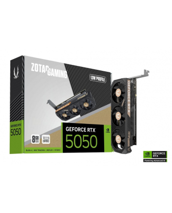 zotac Karta graficzna GeForce RTX 5050 LP 8GB GDDR6 128bit 2DP/HDMI