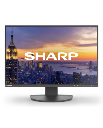 sharp Monitor MultiSync DD-EA242W 24.1 cala  czarny