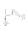 digitus Ramię biurkowe pojedyncze z zaciskiem i sprężyną gazową 1x LCD max. 57' 27kg, VESA: 75x75, 100x100, białe - nr 19