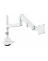 digitus Ramię biurkowe pojedyncze z zaciskiem i sprężyną gazową 1x LCD max. 57' 27kg, VESA: 75x75, 100x100, białe - nr 22