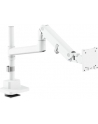 digitus Ramię biurkowe pojedyncze z zaciskiem i sprężyną gazową 1x LCD max. 57' 27kg, VESA: 75x75, 100x100, białe - nr 40