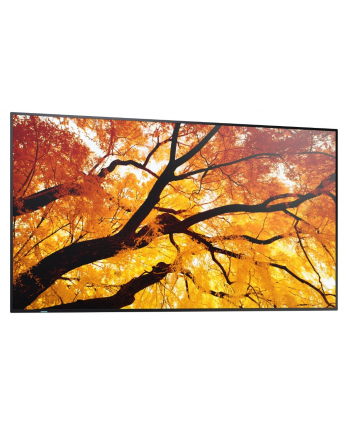 sharp Monitor wielkoformatowy MultiSync M502 50 '' 550cd/m2 24/7