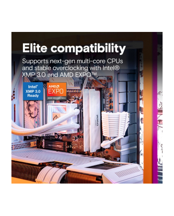 crucial Pamięć DDR5 Pro OC 16/6400(1*16GB) CL32 biała