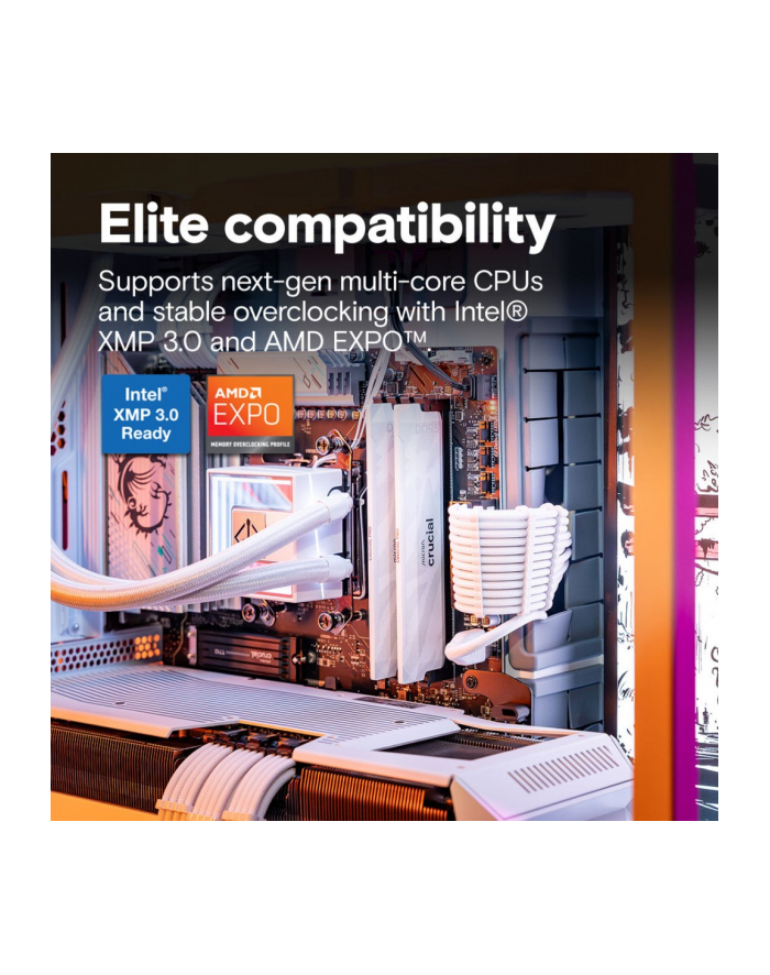 crucial Pamięć DDR5 Pro OC 16/6400(1*16GB) CL32 biała główny