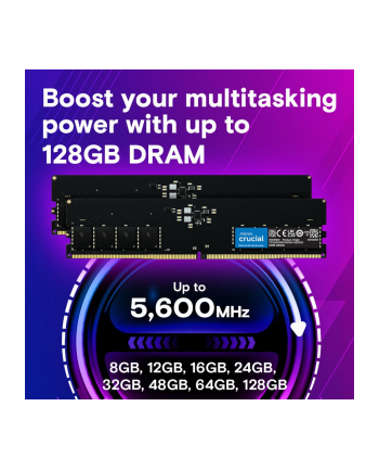 crucial Pamięć DDR5 32GB/5600 CL46 (16Gbit) Tray