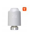 Avatto Inteligentna Głowica Termostatyczna Z TRV07 - nr 2