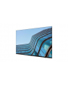 LENOVO ThinkVision E55 55inch IPS UHD 16:9 60Hz 400 cd/m2 8ms 2xHDMI DP USB-C USB-A USB-B USB-C RJ45 - nr 33