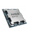 AMD EPYC 8Core Model 4345P Tray - nr 5