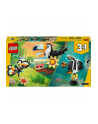 LEGO Creator 3w1 31173 Dzikie zwierzęta: Tropikalny tukan - nr 4