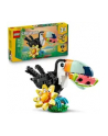 LEGO Creator 3w1 31173 Dzikie zwierzęta: Tropikalny tukan - nr 5