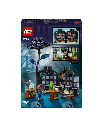 LEGO Wednesday 76784 BUFFALO