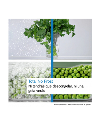 Chłodziarko-zamrażarka BOSCH KGN39VIEB