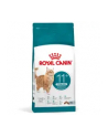 ROYAL CANIN FHN Cat Ageing Sterilised 11+ 4kg - nr 1
