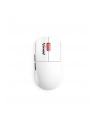 Marvo Monka Prime (G997W) - nr 8