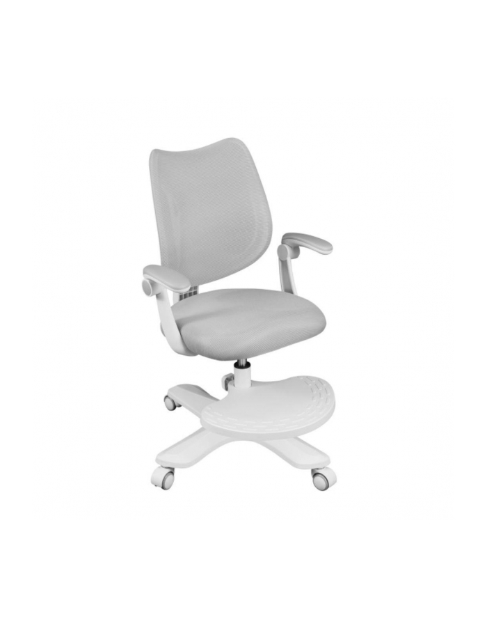 Huzaro Mark Adler Junior 4.6 Grey (MAJUNIOR46GREY) główny