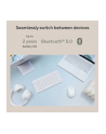 Klawiatura Asus Marshmallow KW100 Beżowy (90XB0880-BKB170) - nr 15