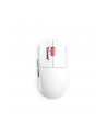 Marvo Monka Prime (G997W) - nr 1