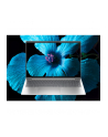Notebook HP ProBook 4 G1i 16''WUXGA/Ultra 7 255H/16GB/SSD512GB/Arc/11PR Pike Silver 3Y - nr 21