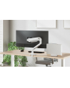neomounts b.v. Podstawka pod laptop Neomounts NSLS300SILVER maks. 5 kg Srebrny - nr 24