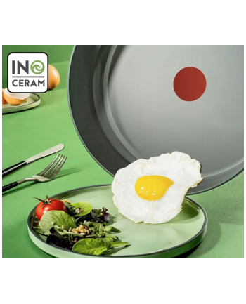 Tefal RENEWAL 24cm C4260443