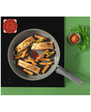 Tefal RENEWAL 24cm C4260443