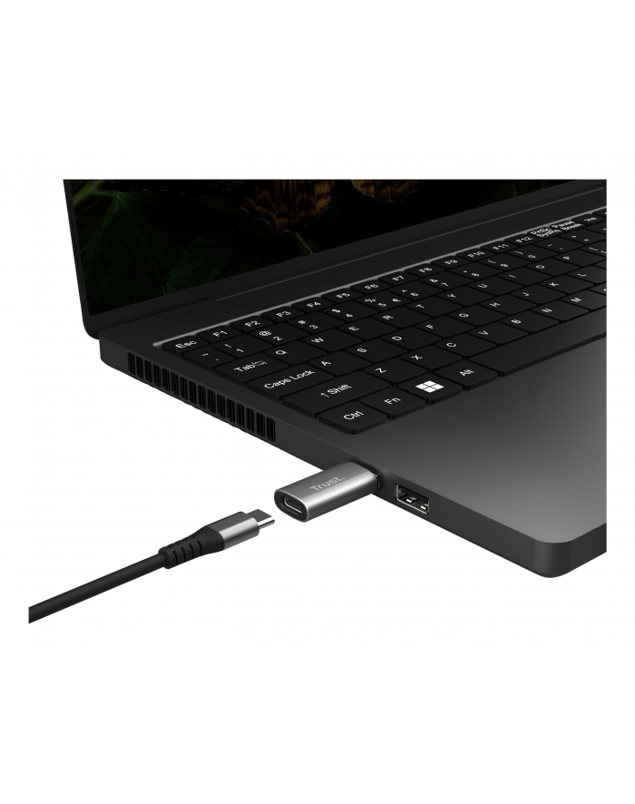 trust Adapter Calyx USB-C do USB-A dwupak szary główny