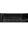 Gainward RTX5050       Ghost            8GB GDDR6  HDMI 3xDP - nr 17