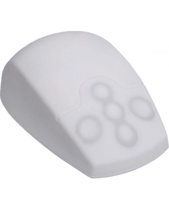 Inca Active Key AK-PMT2 (AKPMT2LBUSW)