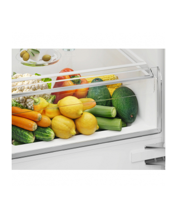 electrolux Chłodziarko-zamrażarka BI ENS3SE18S nr 2