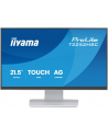 iiyama Monitor 22 cale T2252MSC-W2AG 10 PKT. POJ,IPS,HDMI,DP,2x1W,7H,2xUSB,  AG-(Anti Glare) - nr 45