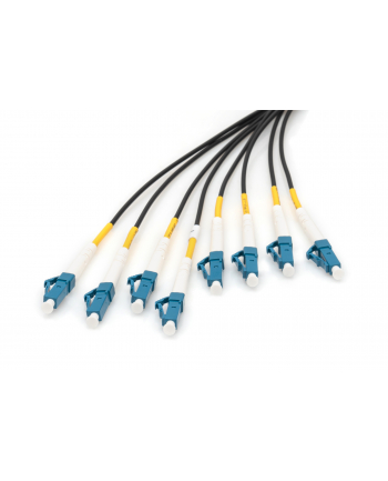 Digitus Zakończony fabrycznie uniwersalny kabel światłowodowy typu breakout, wielomodowy OS2, 8 włókien, LC/UPC (DK2A338U100BKBBB) nr 2