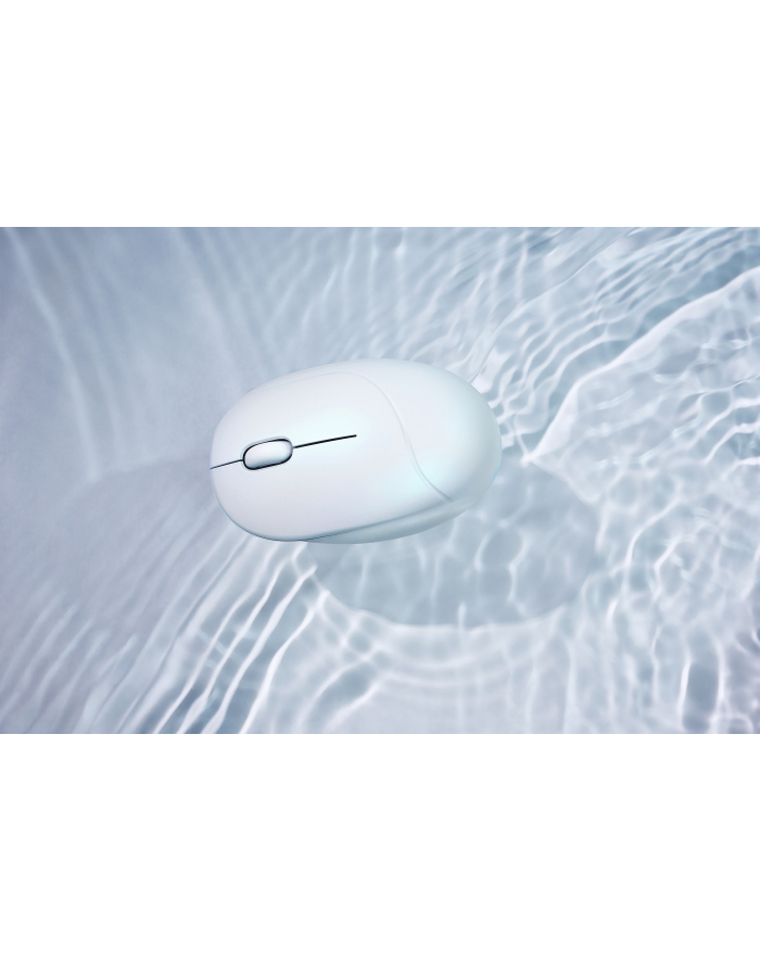 Asus Fragrance MD101 Biały (90XB08U0BMU000) główny
